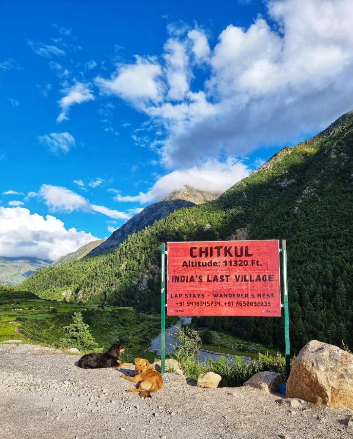Lap Stays - Wanderer'S Nest Chitkul Exteriér fotografie